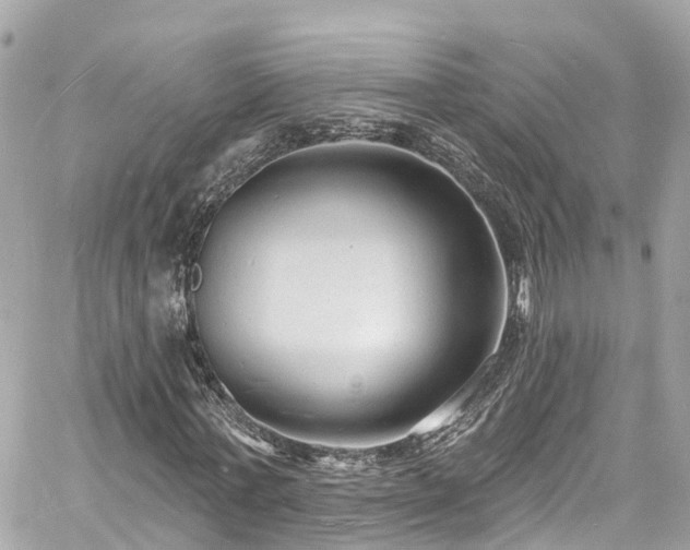 X0000060810771200511141505