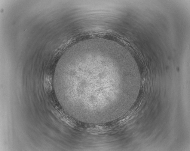 X0000060810772200511141505