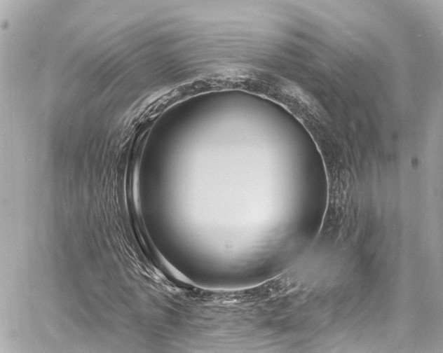 X0000060810773200511141505