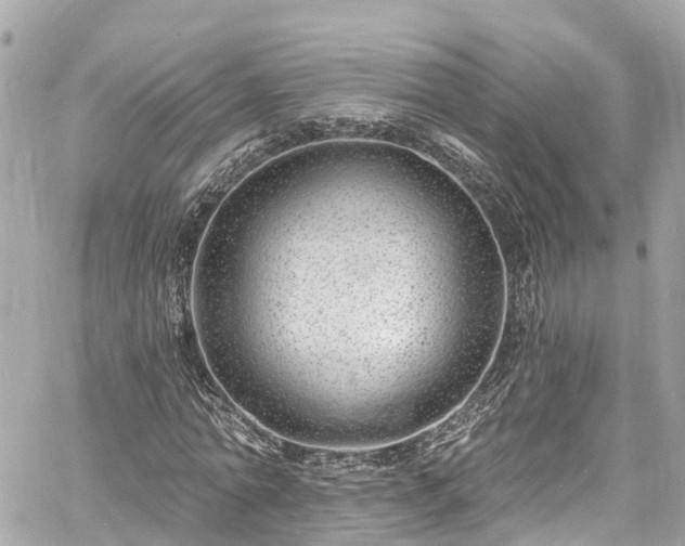 X0000060810774200511141505