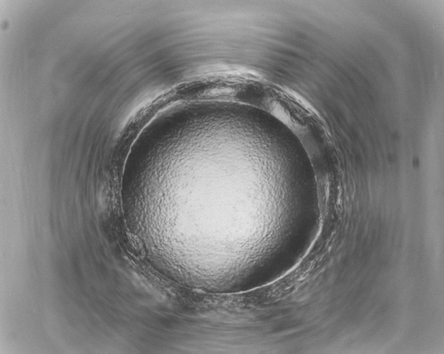 X0000060810775200511141505