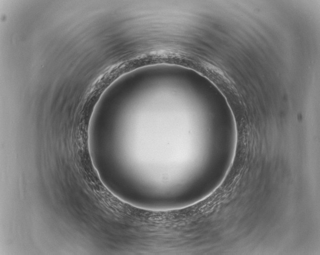 X0000060810776200511141505