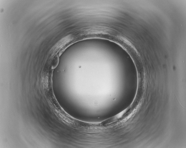 X0000060810777200511141505