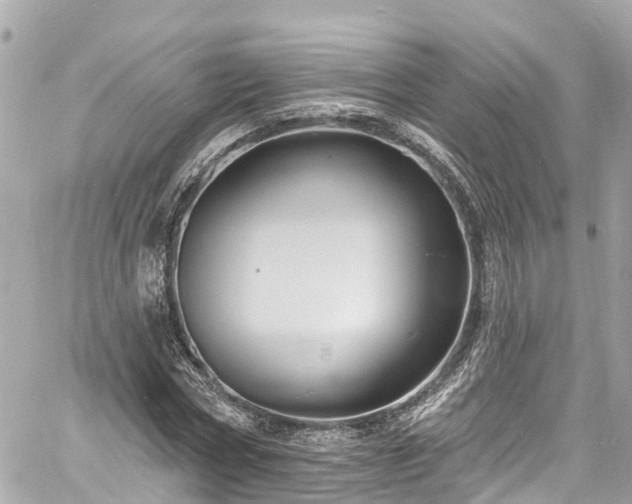 X0000060810778200511141505