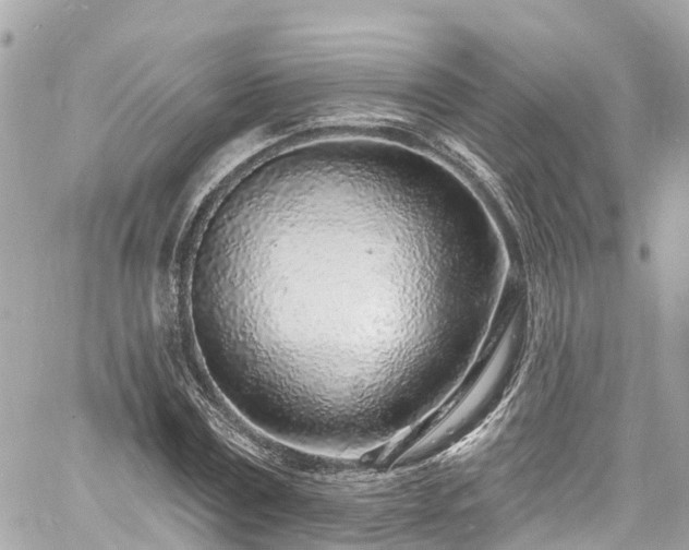 X0000060810779200511141505