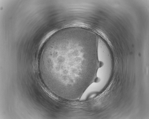 X0000060810780200511141505