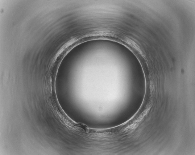 X0000060810781200511141505