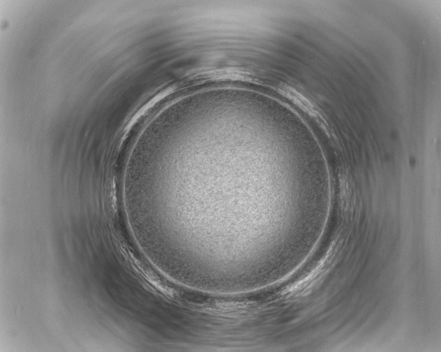 X0000060810782200511141505