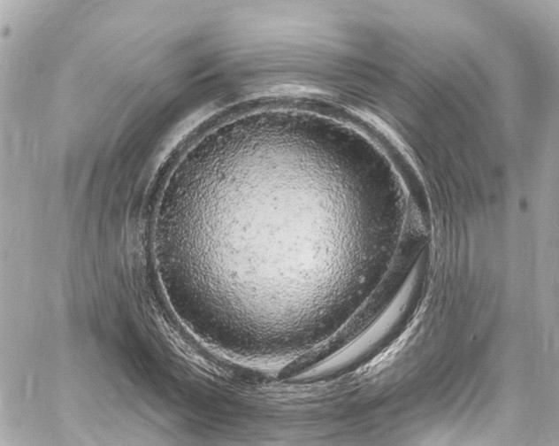 X0000060810783200511141505