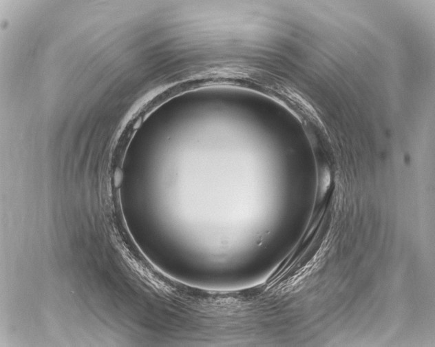 X0000060810784200511141505