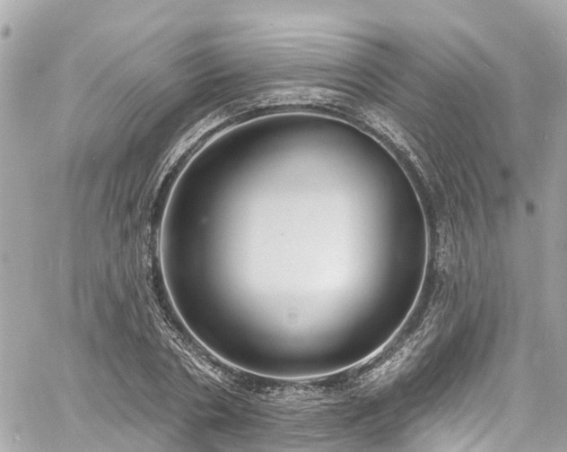 X0000060810786200511141505