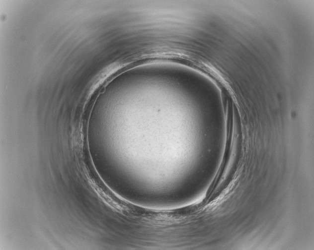 X0000060810787200511141505