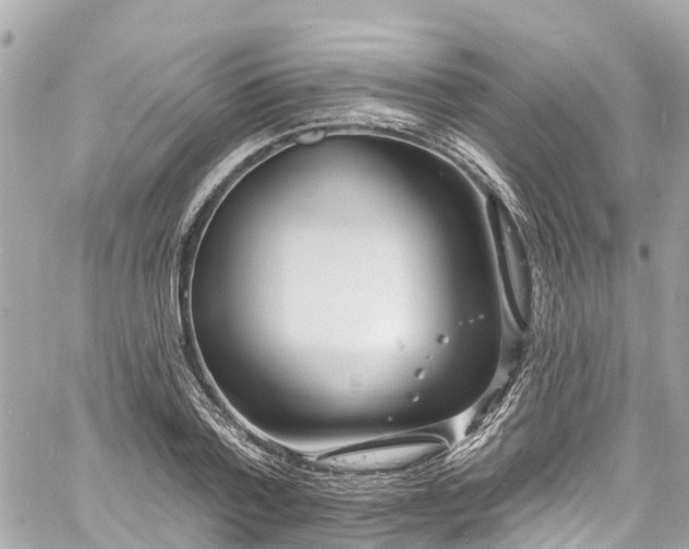 X0000060810788200511141505