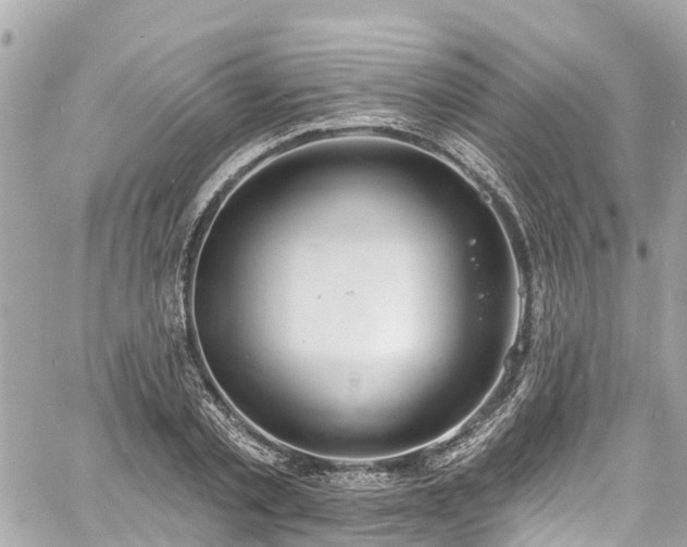 X0000060810789200511141505