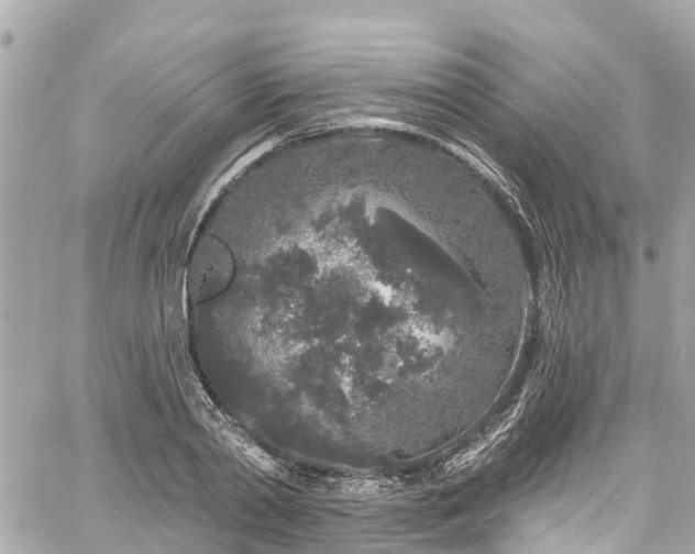 X0000060810790200511141505