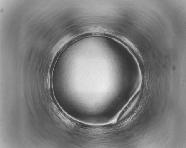 X0000060810791200511141505