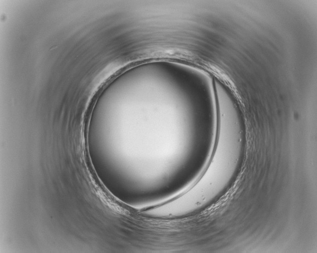 X0000060810792200511141505