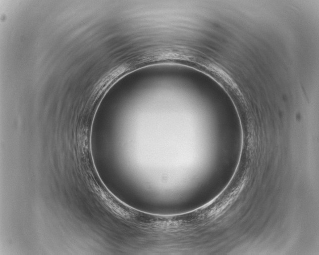 X0000060810793200511141505