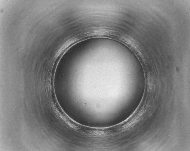 X0000060810794200511141505