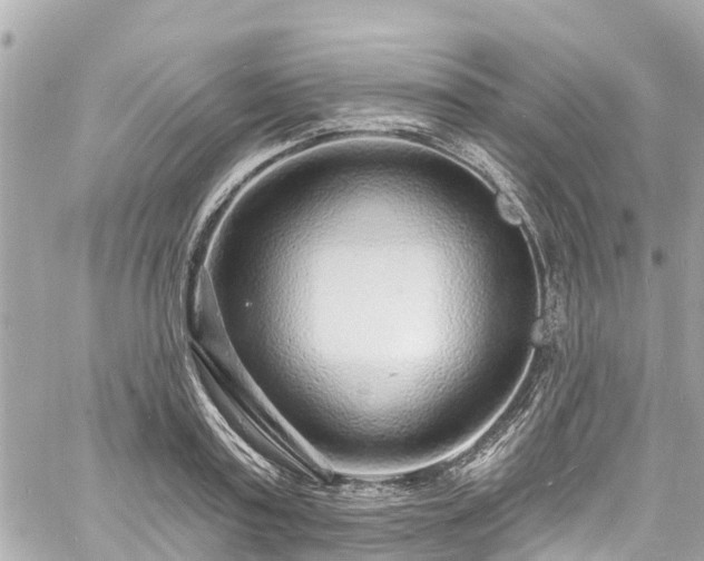 X0000060810795200511141505