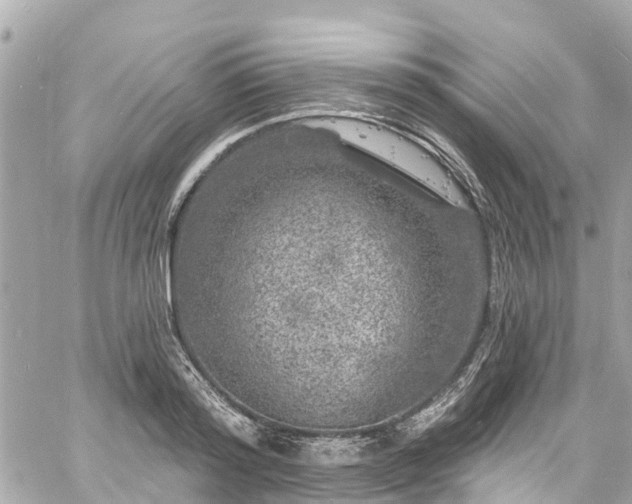 X0000060810796200511141505