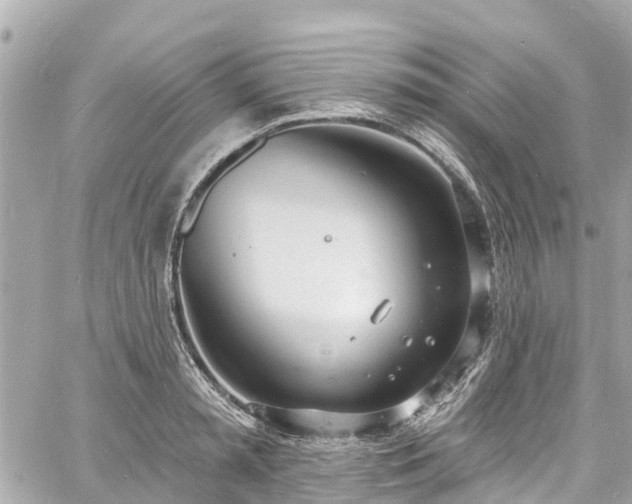 X0000060810797200511141505