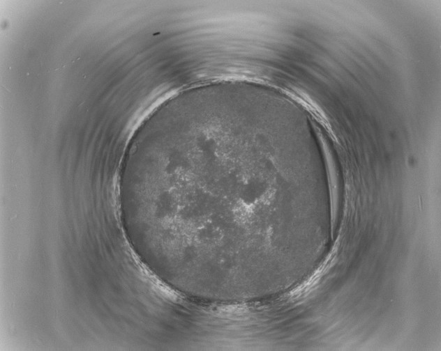 X0000060810798200511141505