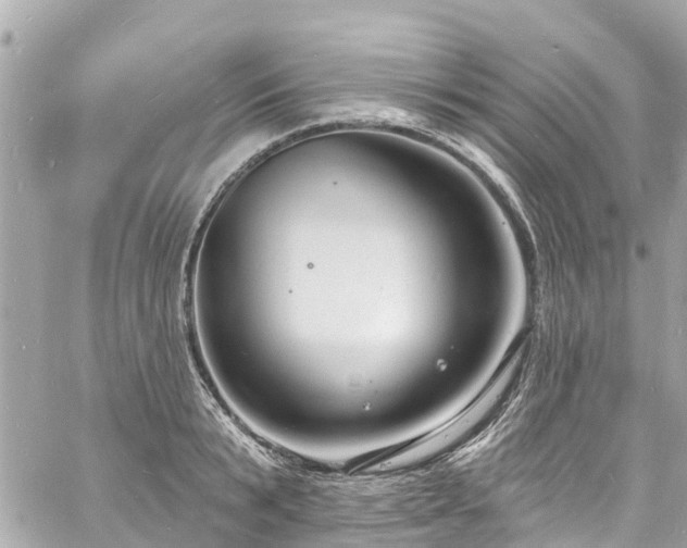 X0000060810799200511141505