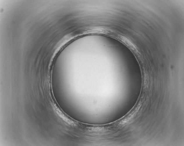 X0000060810800200511141505