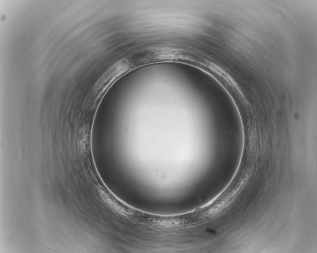 X0000060810801200511141505