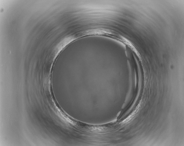 X0000060810802200511141505