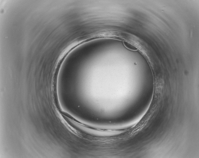 X0000060810803200511141505