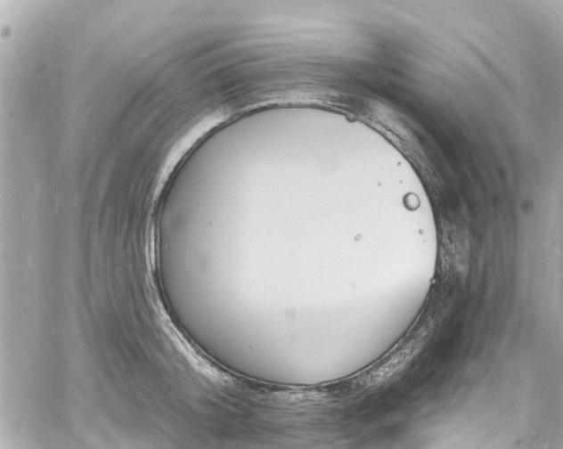 X0000060810804200511141505