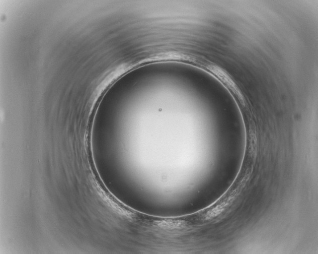 X0000060810805200511141505