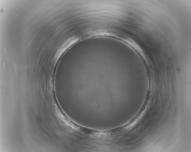 X0000060810806200511141505