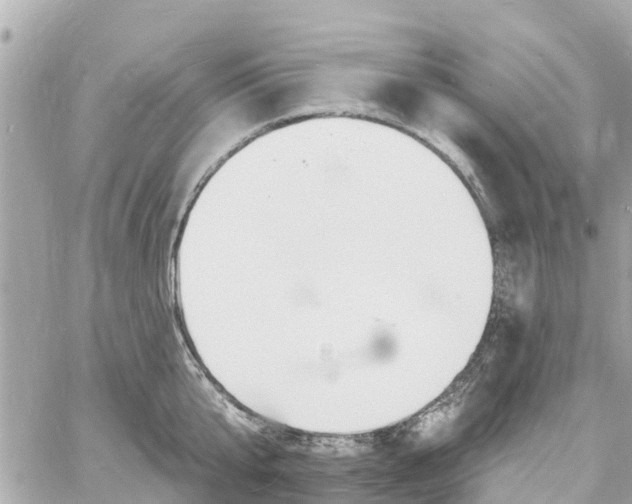 X0000060810807200511141505