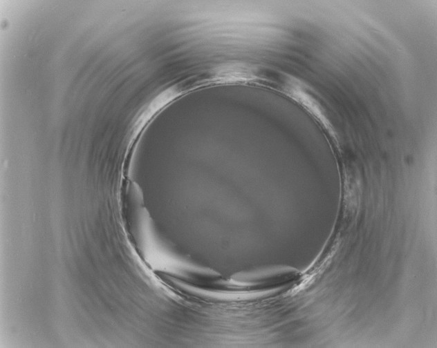 X0000060810810200511141505