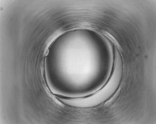 X0000060810812200511141504