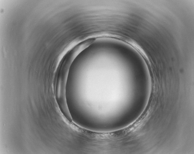 X0000060810813200511141504