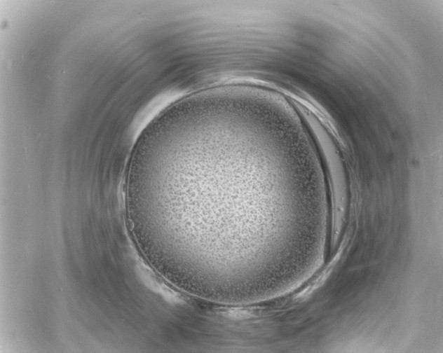 X0000060810814200511141504