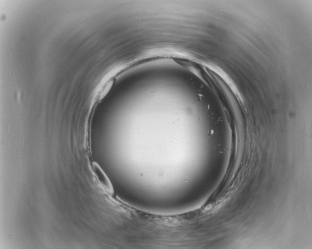 X0000060810815200511141504