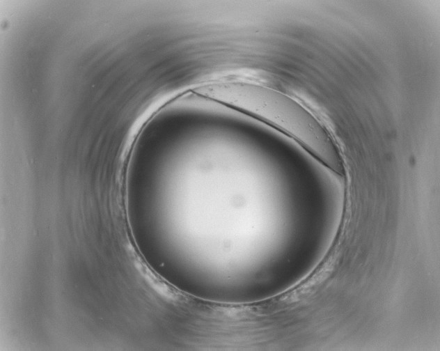 X0000060810816200511141504