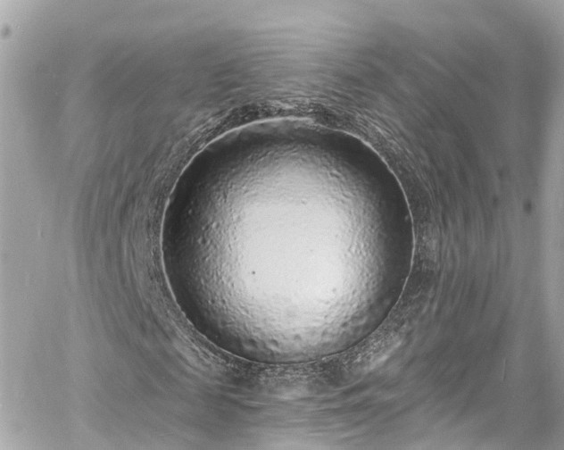 X0000060810817200511141503