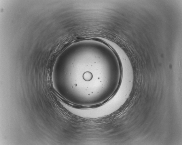 X0000060810818200511141504