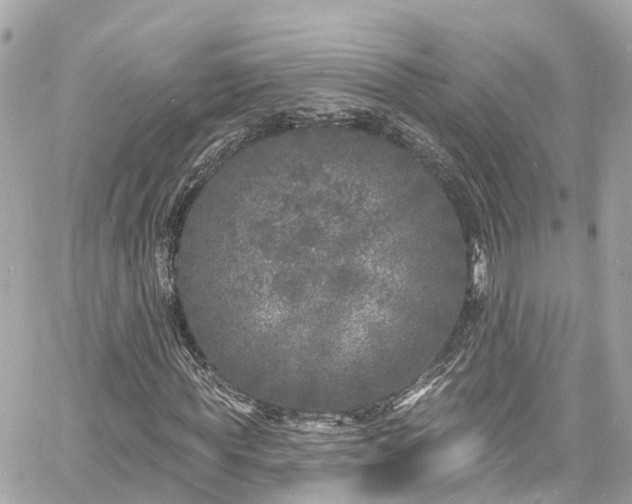 X0000060810819200511141504