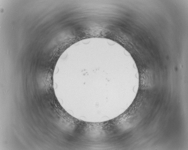 X0000060810820200511141504