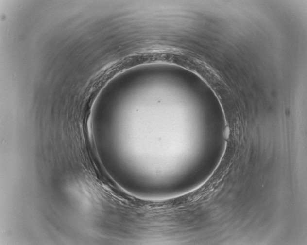 X0000060810821200511141504