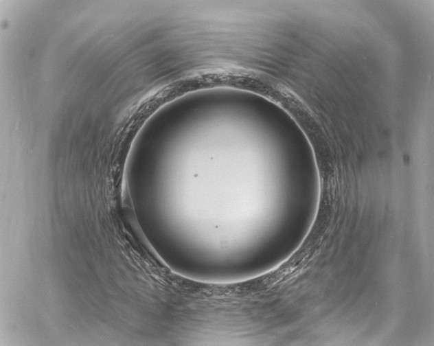 X0000060810822200511141504