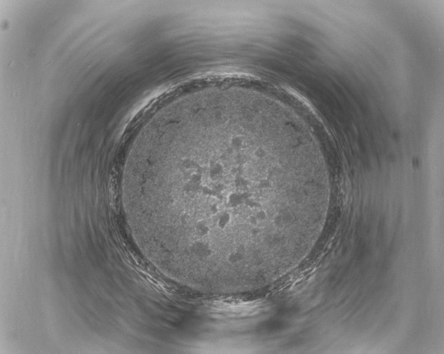 X0000060810823200511141504