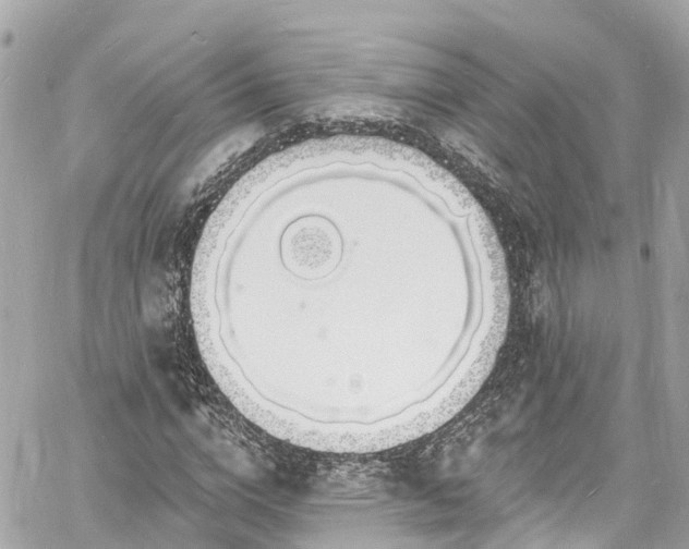 X0000060810824200511141504